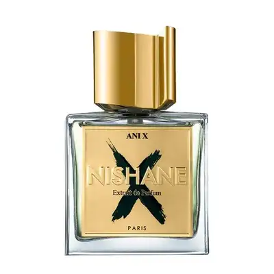 Ani X