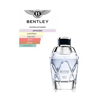 beyond exotic musk