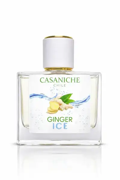 casa ginger ice