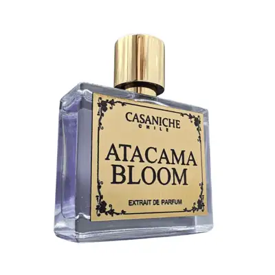 casa atacama bloom