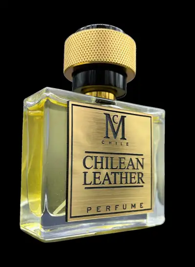 casa chilean leather